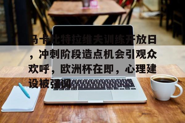九游APP-马卡比特拉维夫训练开放日，冲刺阶段造点机会引观众欢呼，欧洲杯在即，心理建设被强调的简单介绍