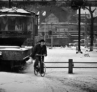 冈仁波齐转山死亡率